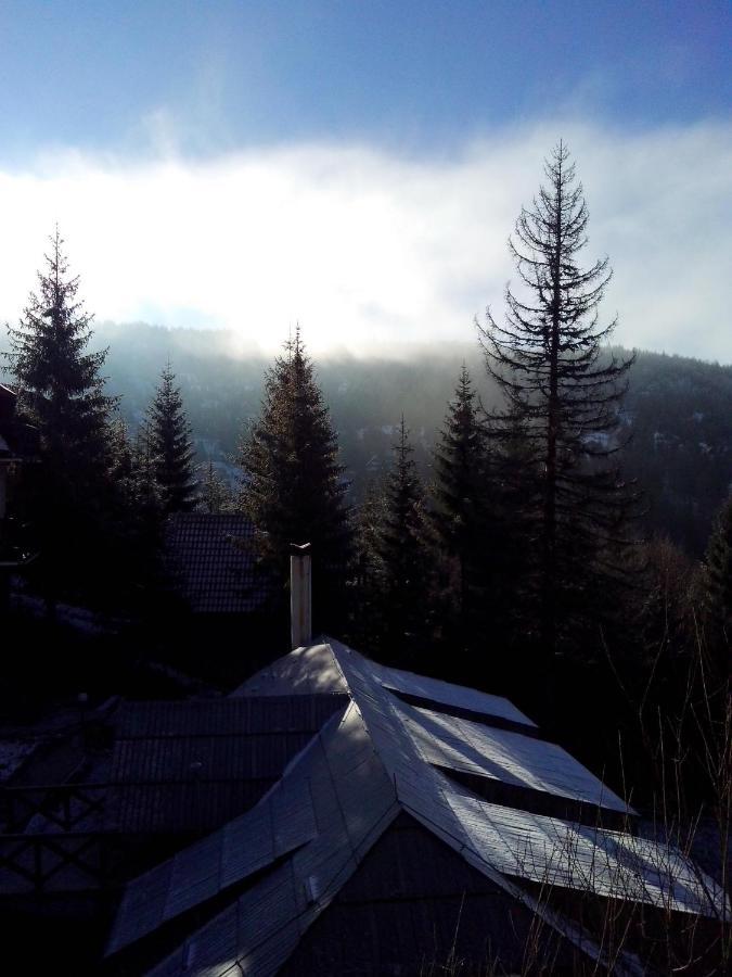 Apartament Dviletov Kutak Kopaonik