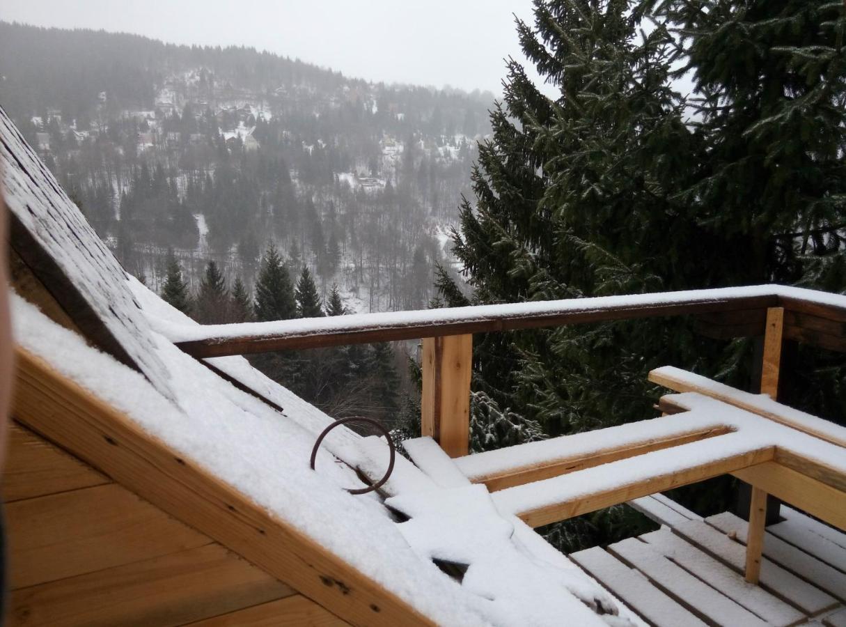 Apartament Dviletov Kutak Kopaonik